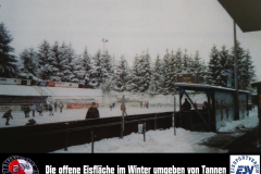 22 Eisfläche an der Rießerseestraße