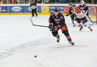 Piraten wollen wieder Punkten