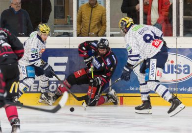 Piraten starten mit Niederlage in die Rückrunde